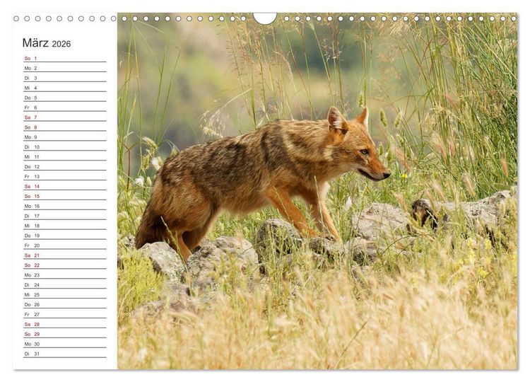 Produktbild: Faszinierendes Bulgarien (Wandkalender 2026 DIN A3 quer), CALVENDO Monatskalender