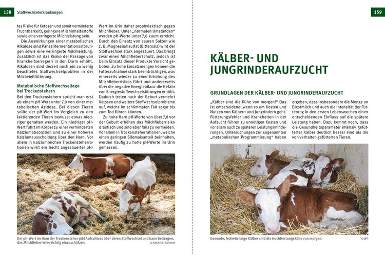 Produktbild: Fruchtbare K&uuml;he - Gesunde K&auml;lber