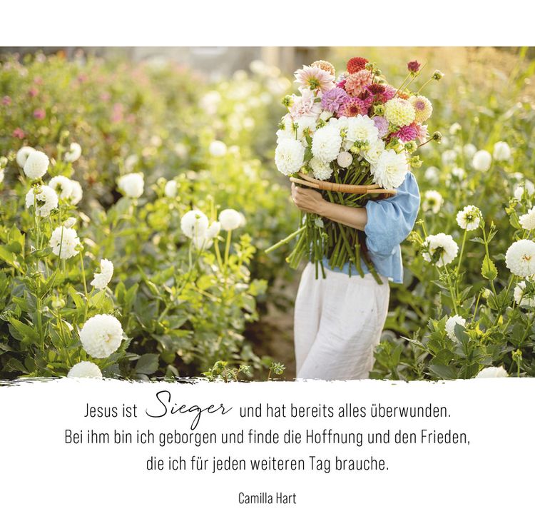 Produktbild: Momente der Hoffnung &ndash; Aufstellbuch