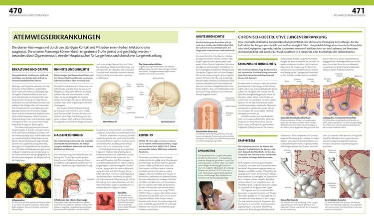 Produktbild: Anatomie und Physiologie