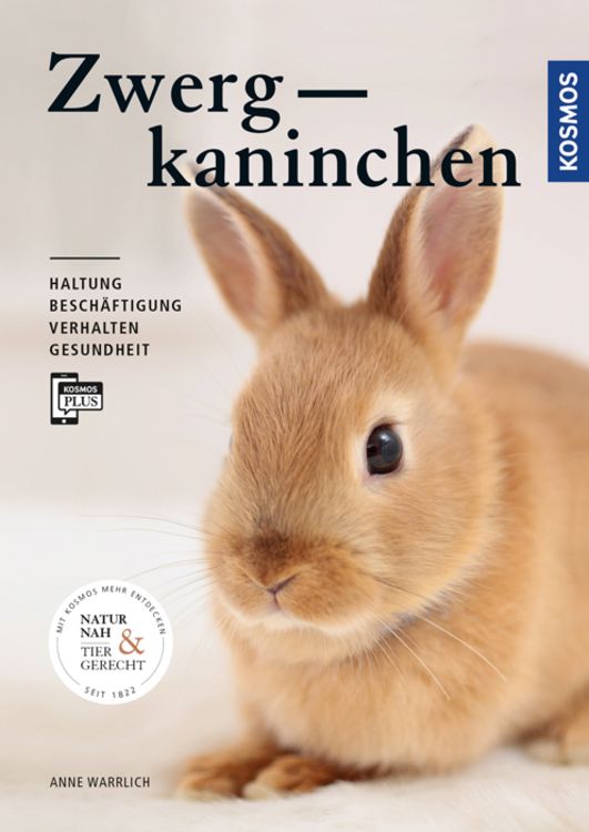 Produktbild: Zwergkaninchen