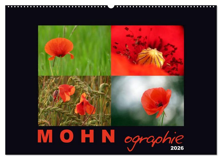 Produktbild: MOHNographie (Wandkalender 2026 DIN A2 quer), CALVENDO Monatskalender