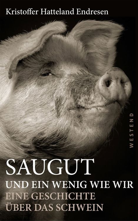 Produktbild: Saugut und ein wenig wie wir