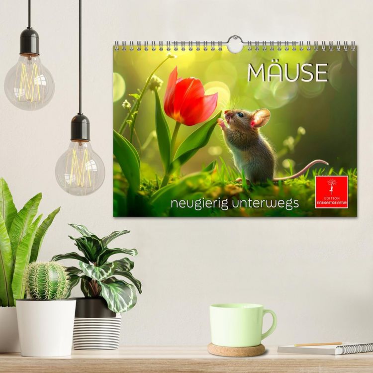 Produktbild: M&auml;use - neugierig unterwegs (Wandkalender 2026 DIN A4 quer), CALVENDO Monatskalender