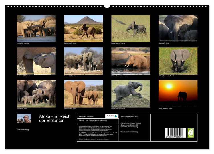 Produktbild: Afrika - im Reich der Elefanten (hochwertiger Premium Wandkalender 2026 DIN A2 quer), Kunstdruck in Hochglanz