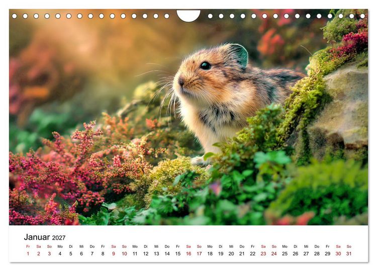 Produktbild: Lemminge - Kleine Helden der Tundra (Wandkalender 2027 DIN A4 quer), CALVENDO Monatskalender