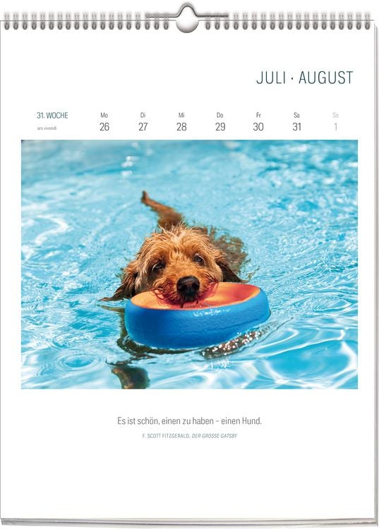 Produktbild: Literarischer Hunde Kalender 2027