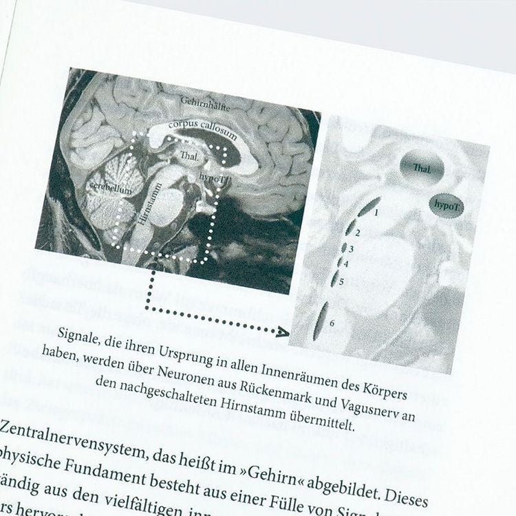 Produktbild: Nat&uuml;rliche Intelligenz und Bewusstsein in Zeiten von KI
