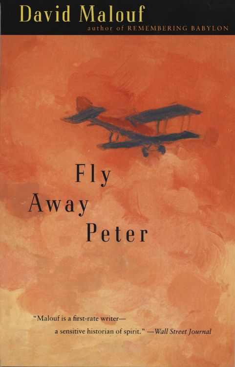 Produktbild: Fly Away Peter