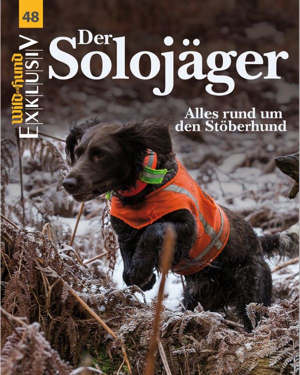 Produktbild: WILD UND HUND Exklusiv Nr. 48: Der Soloj&auml;ger inkl. DVD