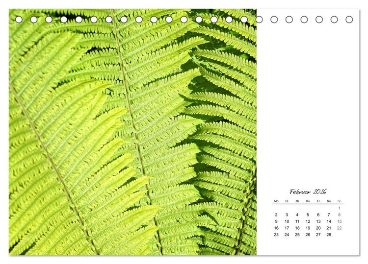 Produktbild: Blattkunst (Tischkalender 2026 DIN A5 quer), CALVENDO Monatskalender