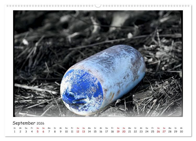 Produktbild: Gestrandet -Treibgut- (hochwertiger Premium Wandkalender 2026 DIN A2 quer), Kunstdruck in Hochglanz