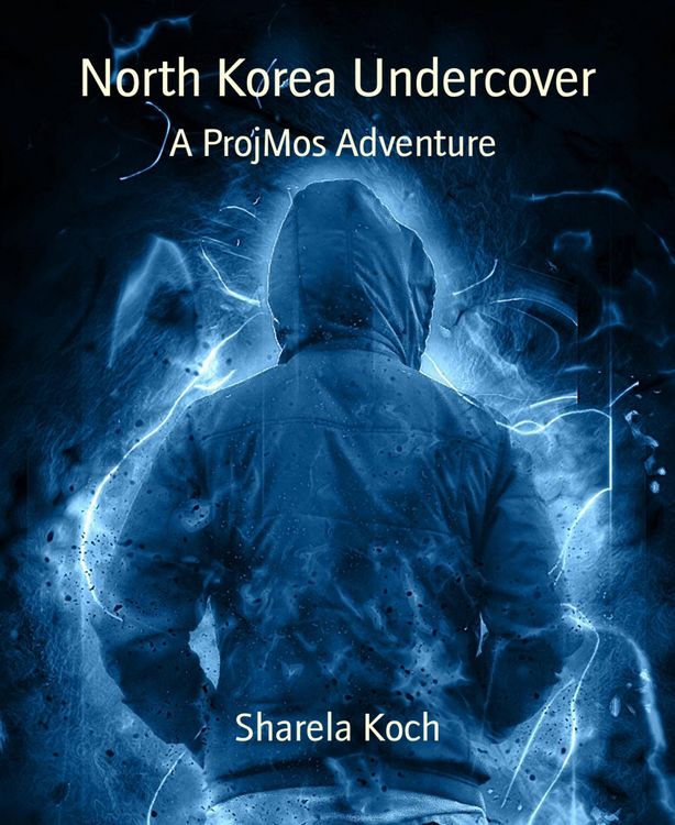 Produktbild: North Korea Undercover