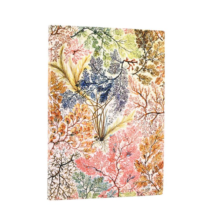 Produktbild: Softcover Notizbuch, Anemone, Midi, Liniert