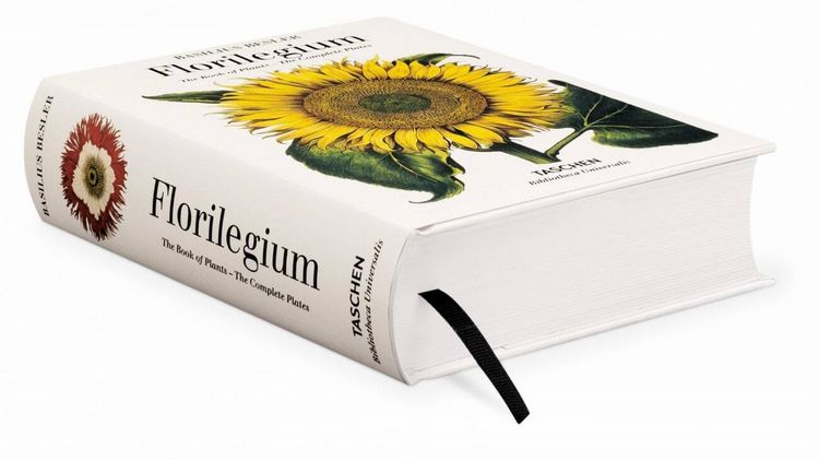 Produktbild: Basilius Besler. L'Herbier. Hortus Eystettensis