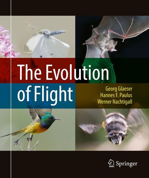 Produktbild: The Evolution of Flight