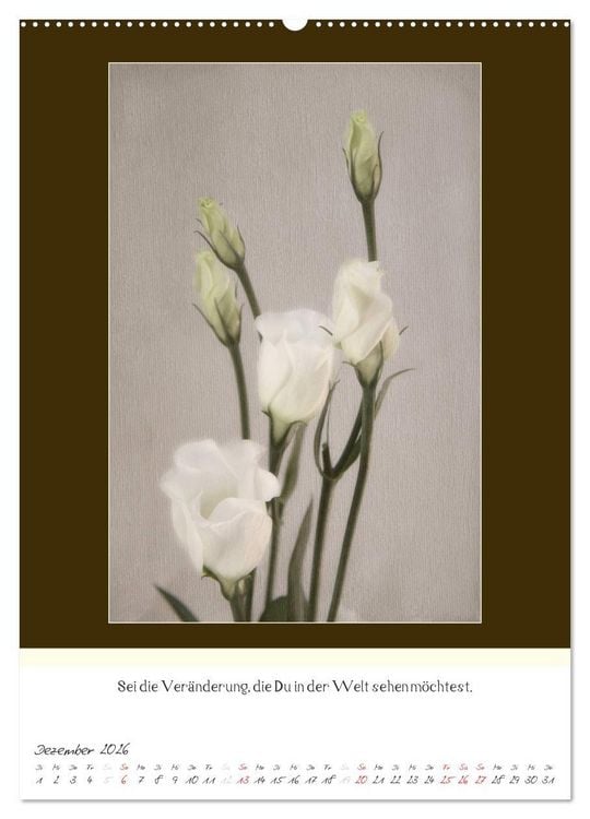 Produktbild: Der Buddhistische Weisheiten Kalender (Wandkalender 2026 DIN A2 hoch), CALVENDO Monatskalender