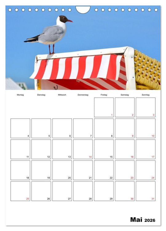 Produktbild: Langeoog - eine Trauminsel (Wandkalender 2026 DIN A4 hoch), CALVENDO Monatskalender