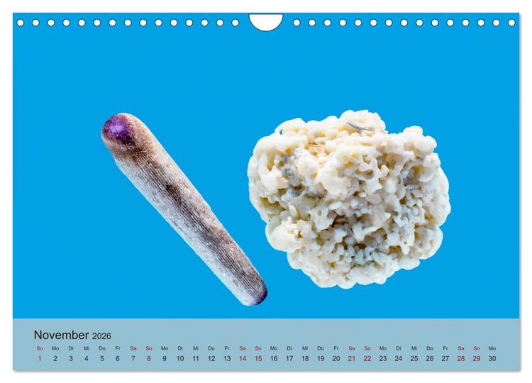 Produktbild: rosaroter korallensand (Wandkalender 2026 DIN A4 quer), CALVENDO Monatskalender