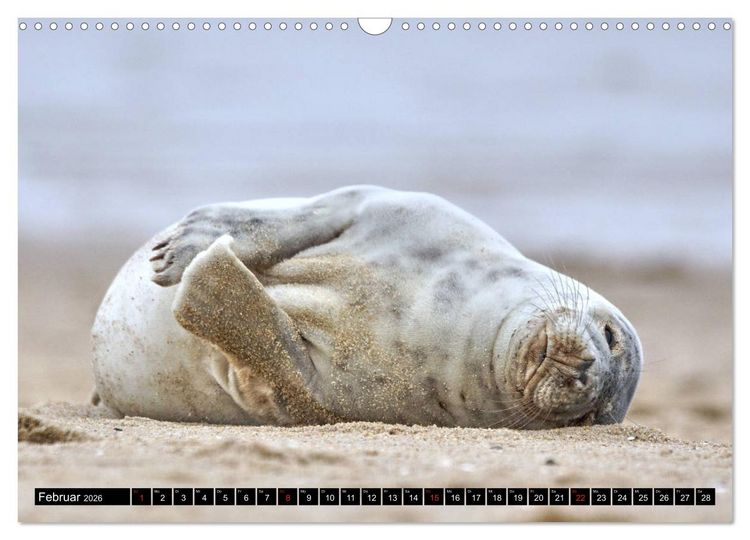 Produktbild: Sylt ist Meer (Wandkalender 2026 DIN A3 quer), CALVENDO Monatskalender