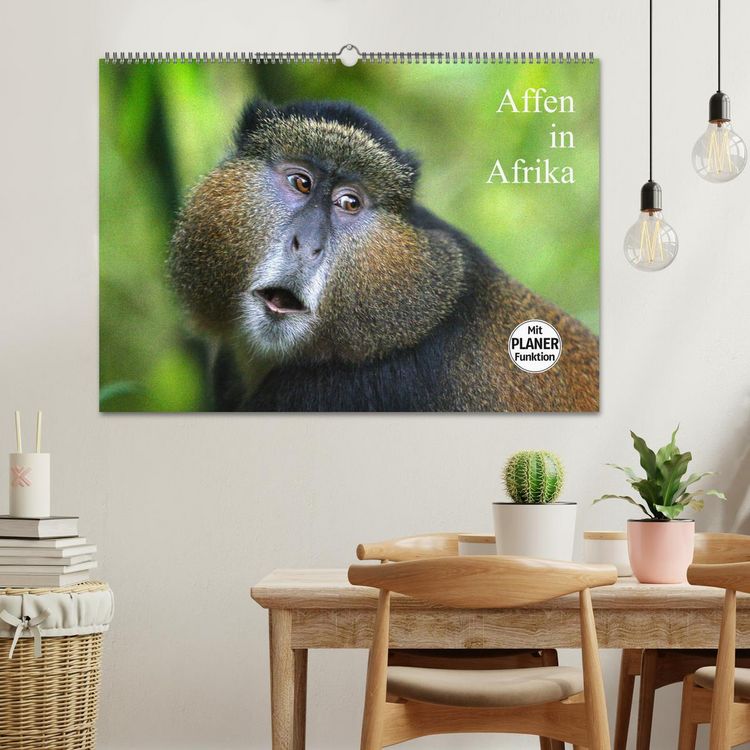 Produktbild: Affen in Afrika (Wandkalender 2026 DIN A2 quer), CALVENDO Monatskalender