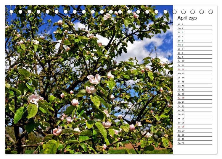 Produktbild: Landschaften des Kraichgaus (Tischkalender 2026 DIN A5 quer), CALVENDO Monatskalender