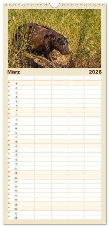 Produktbild: Familienplaner 2026 - Hippos - Gef&auml;hrliche Giganten mit 5 Spalten (Wandkalender, 21 x 45 cm) CALVENDO