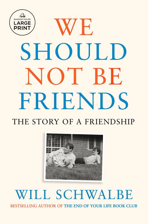 Produktbild: We Should Not Be Friends