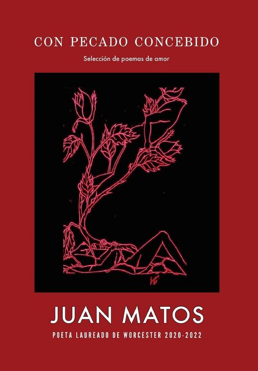 Produktbild: Con pecado concebido