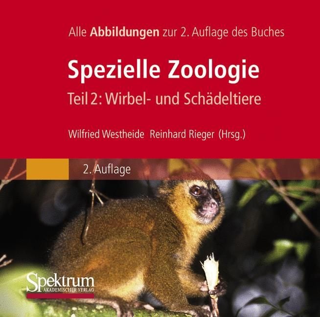 Produktbild: Bild-DVD, Westheide/Rieger (Hrsg), Spezielle Zoologie, Teil 2: Wirbel- oder Sch&auml;deltiere