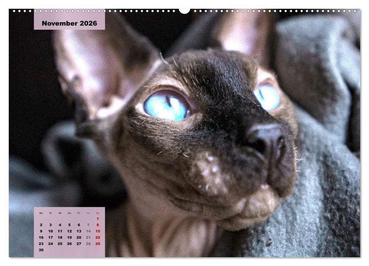 Aufnäher Patch Zum Aufbügeln Tarot Karte Katze Wicca (Neu Und