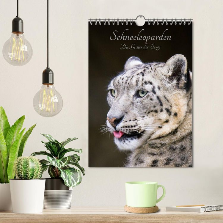 Produktbild: Schneeleoparden - Die Geister der Berge (Wandkalender 2026 DIN A4 hoch), CALVENDO Monatskalender