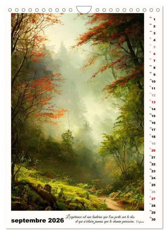 Produktbild: Chemins de fantaisie (Calendrier mural 2026 DIN A4 horizontal), CALVENDO calendrier mensuel