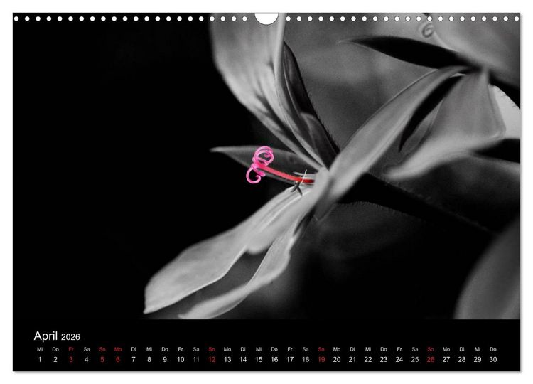 Produktbild: Farbtupfer (Wandkalender 2026 DIN A3 quer), CALVENDO Monatskalender