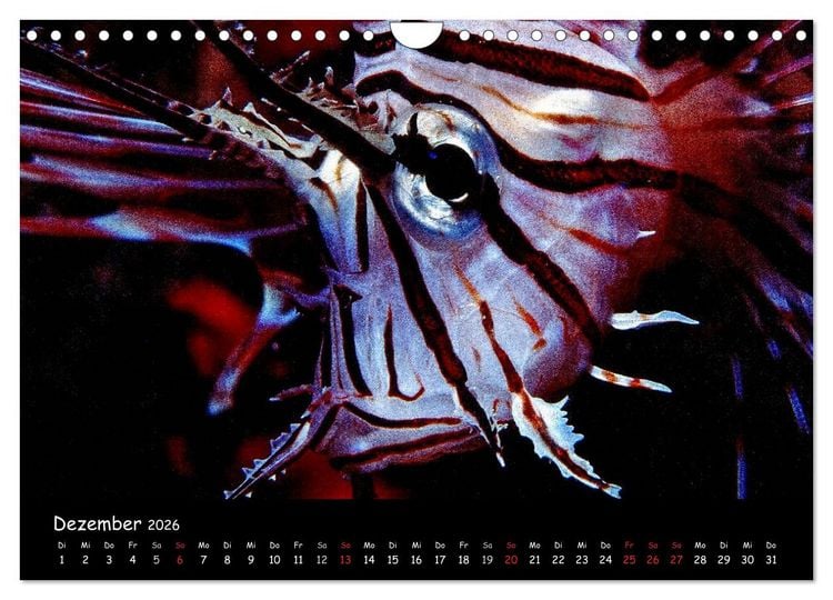 Produktbild: Die Welt unter Wasser (Wandkalender 2026 DIN A4 quer), CALVENDO Monatskalender
