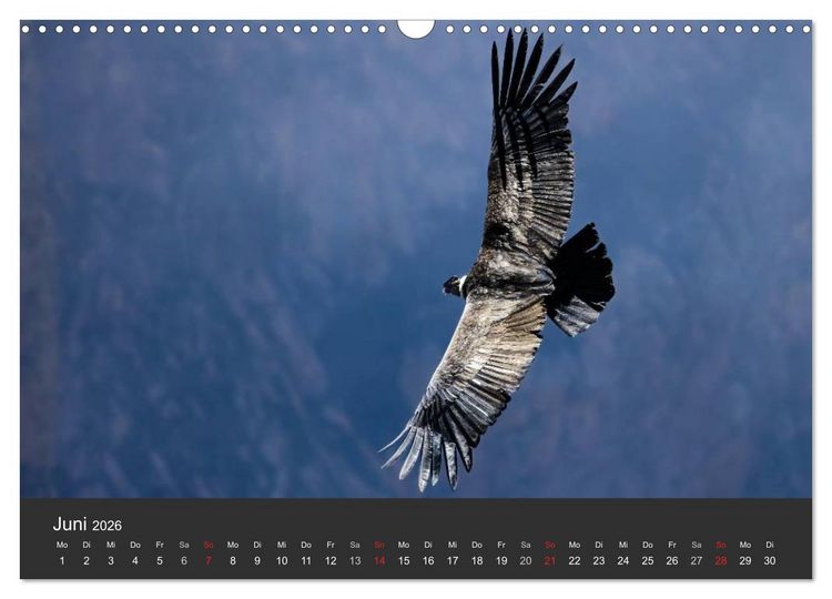 Produktbild: Peru 2026 Im Land des Kondors (Wandkalender 2026 DIN A3 quer), CALVENDO Monatskalender
