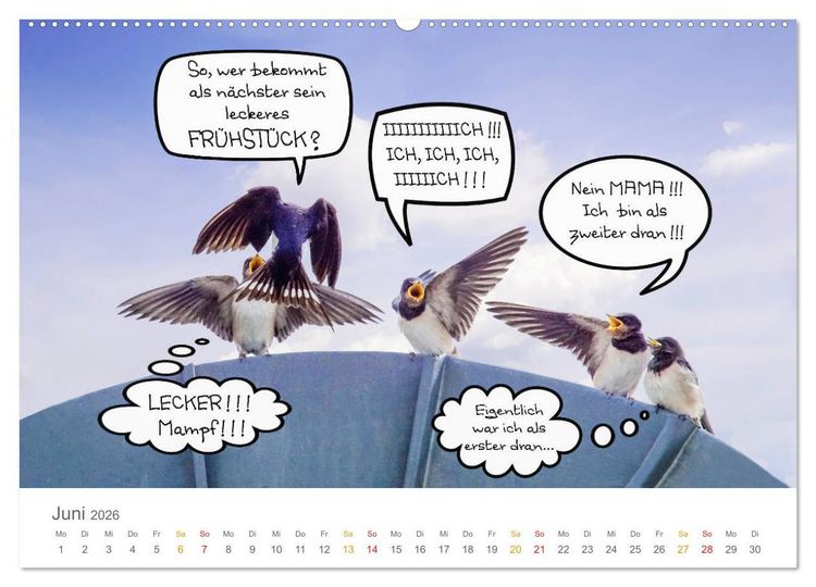 Produktbild: Wenn Schwalben reden (Wandkalender 2026 DIN A2 quer), CALVENDO Monatskalender
