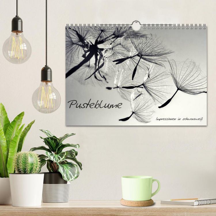 Produktbild: Pusteblume - Impressionen in schwarzwei&szlig; (Wandkalender 2026 DIN A4 quer), CALVENDO Monatskalender