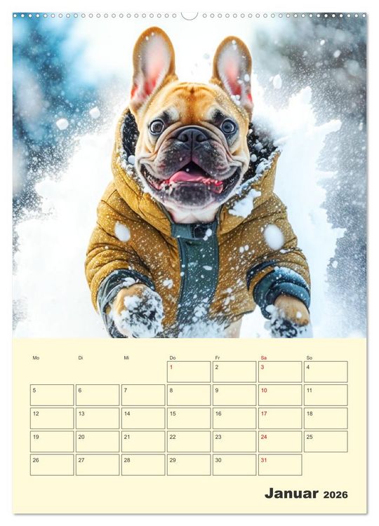 Produktbild: Lustige Flederm&auml;use. Franz&ouml;sische Bulldoggen bei der Freizeitgestaltung (Wandkalender 2026 DIN A2 hoch), CALVENDO Monatskalender
