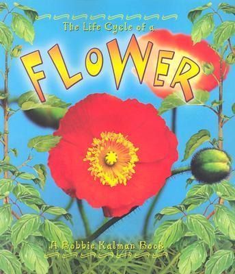 Produktbild: Flower