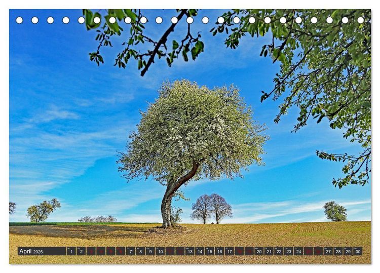 Produktbild: Karlsruhes Osten (Tischkalender 2026 DIN A5 quer), CALVENDO Monatskalender