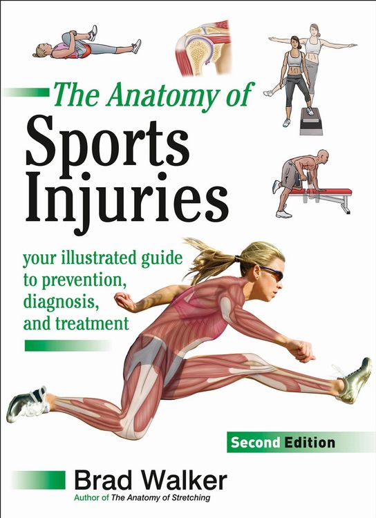 Produktbild: Walker, B: Anatomy of Sports Injuries