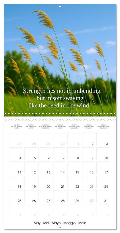 Produktbild: Let the moment guide you (Wall Calendar 2026 12 &times; 12 Inch) CALVENDO 12 Month Wall Calendar