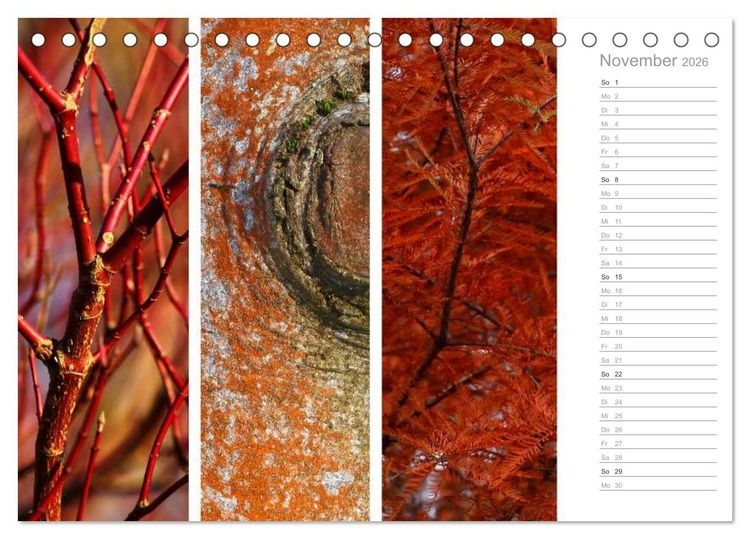 Produktbild: Nat&uuml;rlicher Dreiklang (Tischkalender 2026 DIN A5 quer), CALVENDO Monatskalender