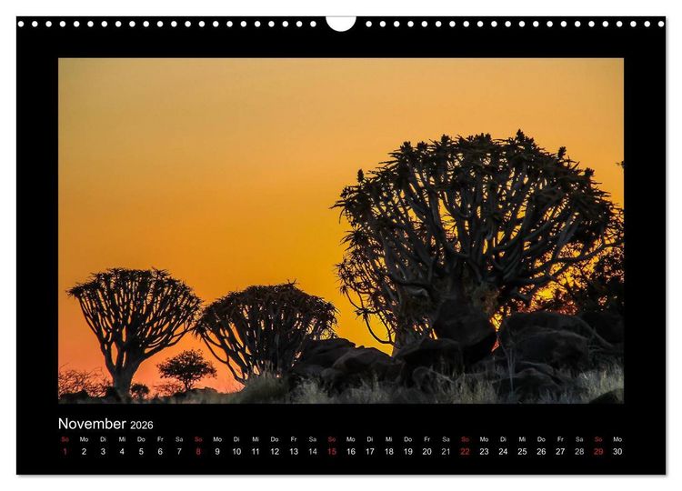 Produktbild: W&auml;lder, fotografiert auf vier Kontinenten (Wandkalender 2026 DIN A3 quer), CALVENDO Monatskalender