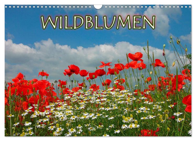 Produktbild: Wildblumen 2026 (Wandkalender 2026 DIN A3 quer), CALVENDO Monatskalender