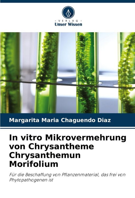 Produktbild: In vitro Mikrovermehrung von Chrysantheme Chrysanthemun Morifolium