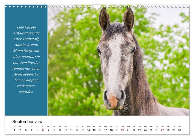 Produktbild: Tiere und feiner Humor (Wandkalender 2026 DIN A3 quer), CALVENDO Monatskalender