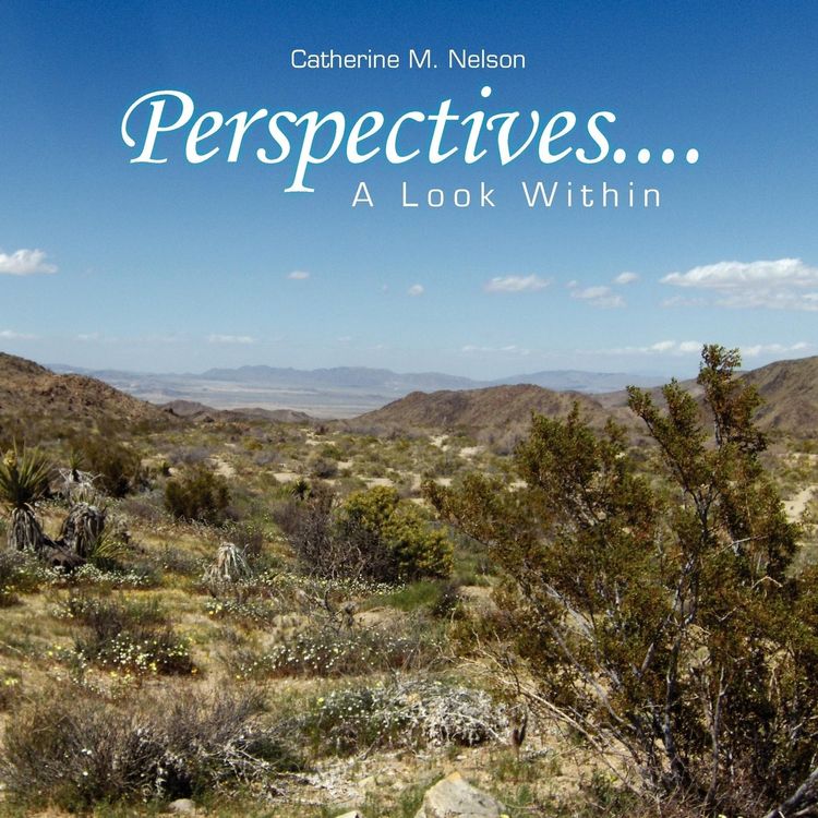 Produktbild: Perspectives....A Look Within