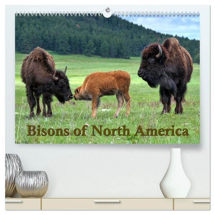 Produktbild: Bisons of North America (High Quality Premium Wall Calendar 2026 DIN A2 landscape),CALVENDO 12 Month Wall Calendar